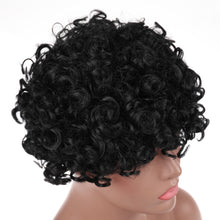 Load image into Gallery viewer, Briana | Black Short Medium Curly Synthetic Hair Wig