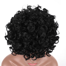Load image into Gallery viewer, Briana | Black Short Medium Curly Synthetic Hair Wig