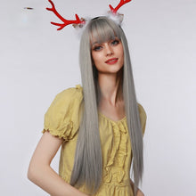 Load image into Gallery viewer, Elvenia | Halloween Silver Long Straight Synthetic Hair Wig with Bangs