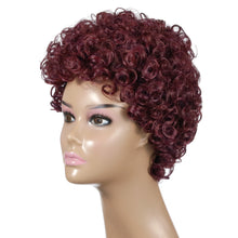 Load image into Gallery viewer, Wanda | Brown Short Pixie Cut Curly Synthetic Hair Wig