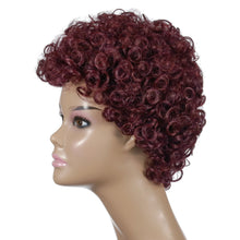 Load image into Gallery viewer, Wanda | Brown Short Pixie Cut Curly Synthetic Hair Wig