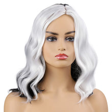 Load image into Gallery viewer, December | Grey Long Wavy Synthetic Hair Wig