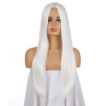 Load image into Gallery viewer, Ann | Grey Long Straight Synthetic Hair Wig