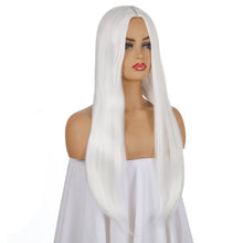 Load image into Gallery viewer, Ann | Grey Long Straight Synthetic Hair Wig
