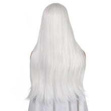 Load image into Gallery viewer, Ann | Grey Long Straight Synthetic Hair Wig