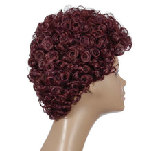 Load image into Gallery viewer, Wanda | Brown Short Pixie Cut Curly Synthetic Hair Wig
