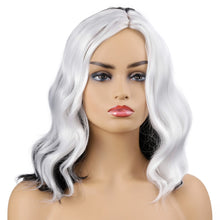 Load image into Gallery viewer, December | Grey Long Wavy Synthetic Hair Wig
